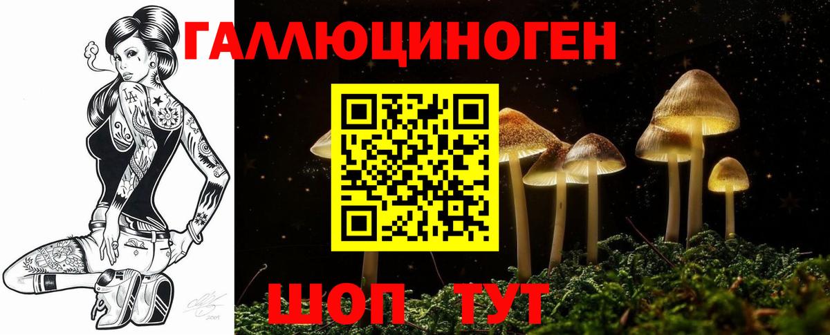 Псилоцибиновые грибы Psilocybine cubensis Троицк