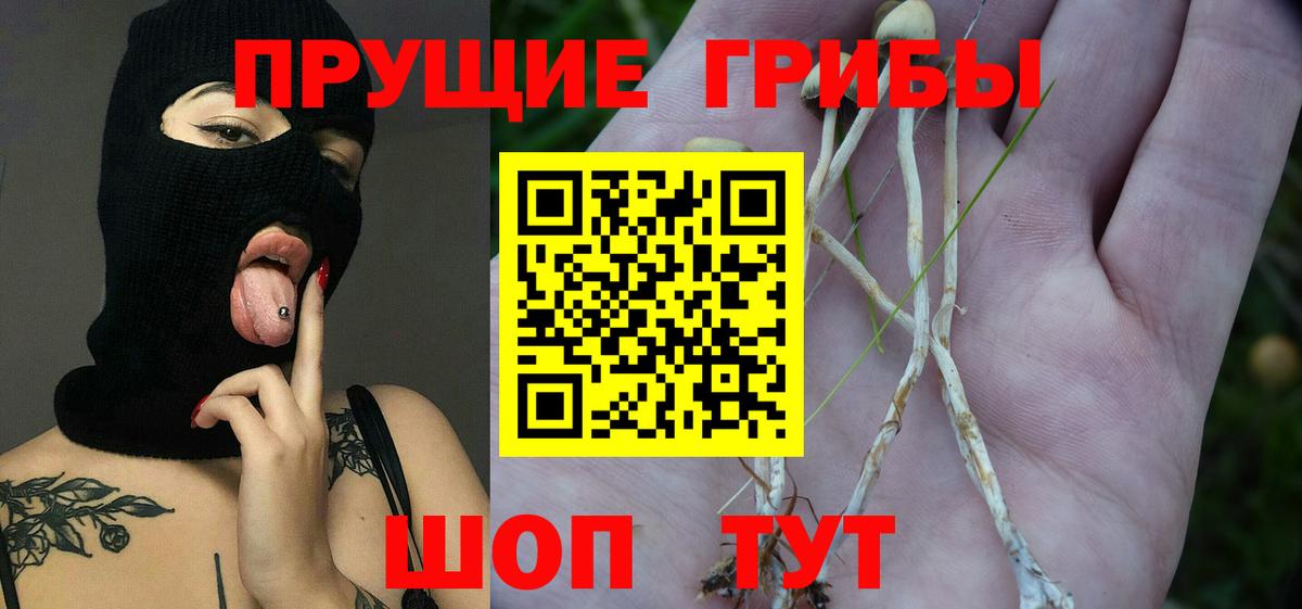 Троицк  Галлюциногенные грибы прущие грибы  Вход с VPN 